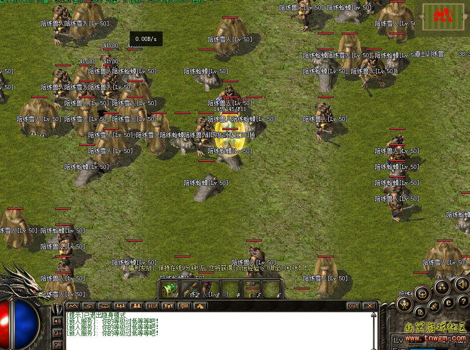 4.jpg