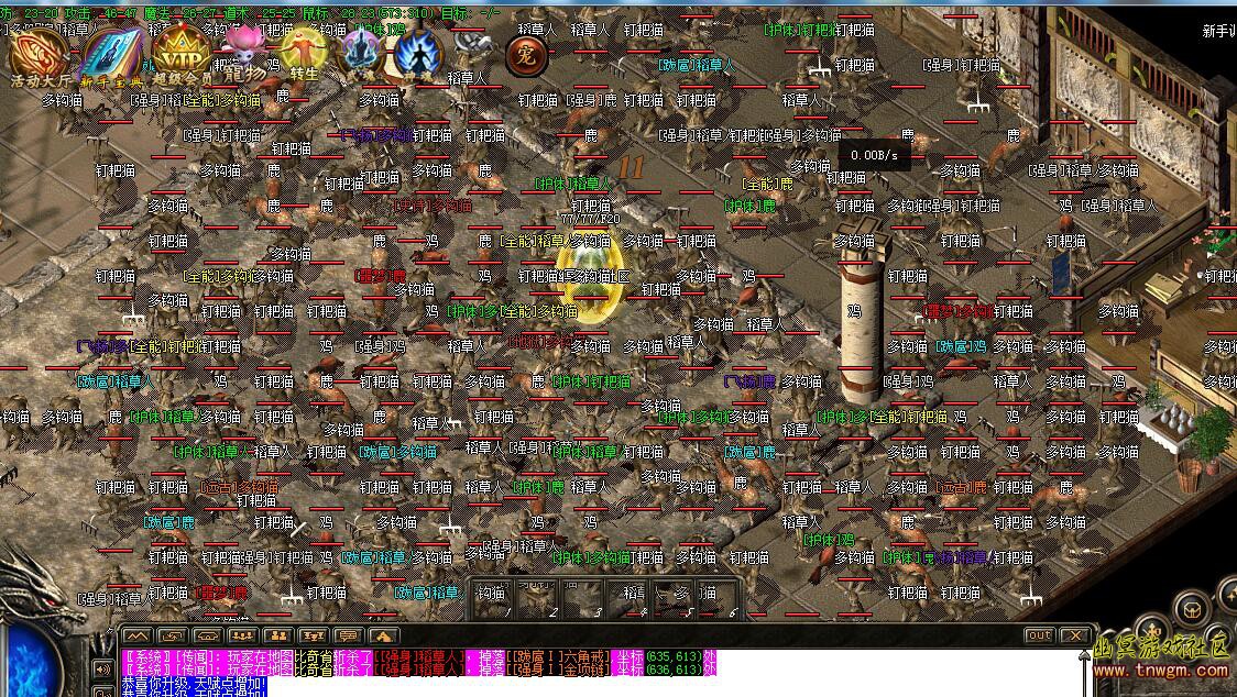 4.jpg