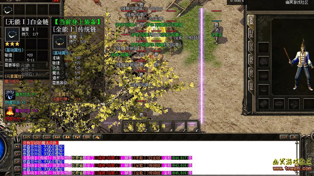 3.jpg