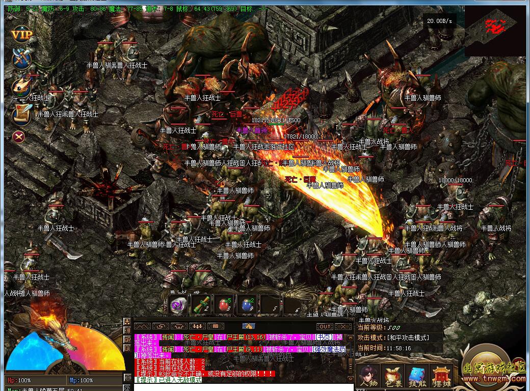 11.jpg