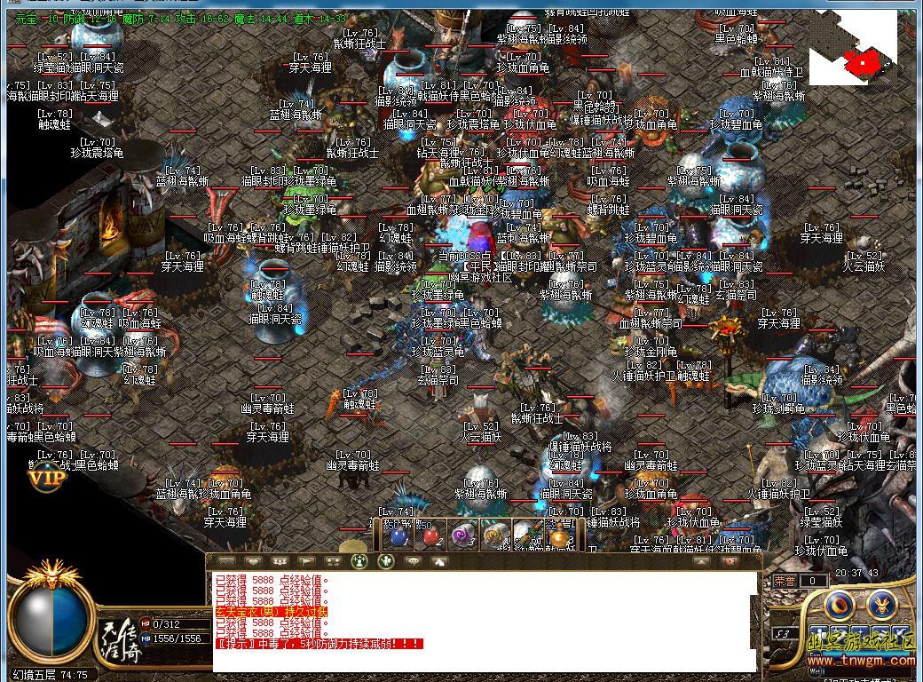 27.jpg