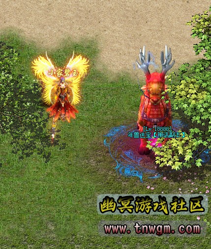 3.jpg