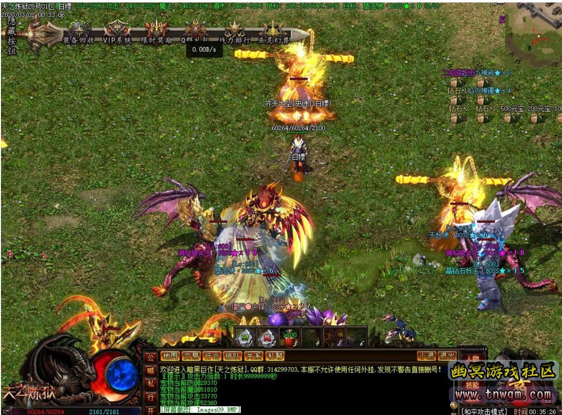 5.jpg