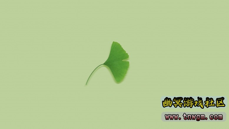 电脑壁纸 (1).jpg